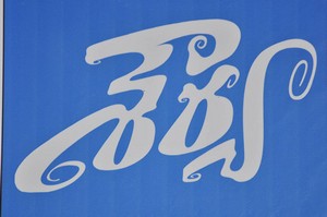 Shourya First Look Launch